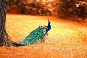 火药味十足：精彩对决引爆全场，胜负悬念