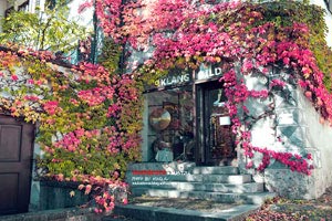 江苏队取得令人瞩目的胜利，积分稳步上升