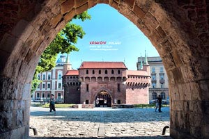 纽卡斯尔前锋破门得分，助球队赢得比赛