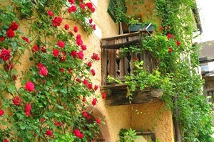 葡萄牙男子足球选手争夺前三：激情、技术与时代新星的碰撞