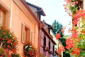 波鸿前途堪忧，陷入保级泥潭难以自拔