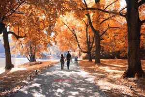 罗马主场不敌博洛尼亚，遭遇两连败